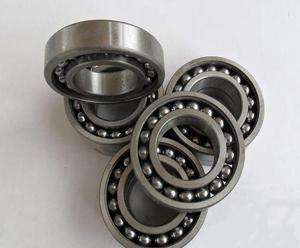 Newest 306TN/C3 Bearing